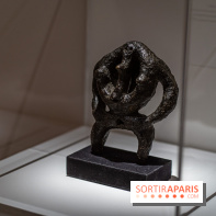 Picasso et la Préhistoire, les photos de l'exposition au Musée de l'Homme