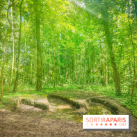 Le Hangar Y à Meudon, nos photos - forêt 