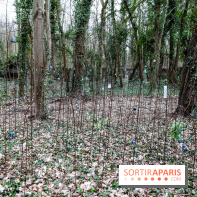 Le Hangar Y à Meudon, nos photos - IMG 8863