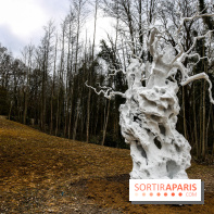 Le Hangar Y à Meudon, nos photos - IMG 8867