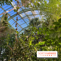 serre - jardin des plantes