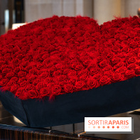 Saint-Valentin visuel saint Valentin  -  A7C2620