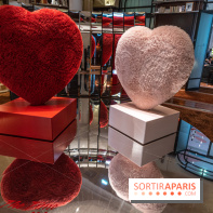 Saint-Valentin visuel saint Valentin  -  A7C2597