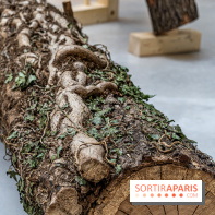 Exposition Avant l'orage à la Bourse de Commerce - Pinault Collection - urgence climatique