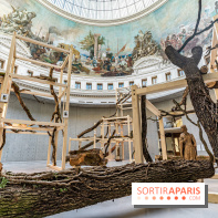 Exposition Avant l'orage à la Bourse de Commerce - Pinault Collection - urgence climatique