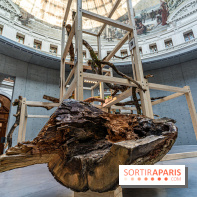 Exposition Avant l'orage à la Bourse de Commerce - Pinault Collection - urgence climatique