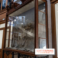 Exposition Avant l'orage à la Bourse de Commerce - Pinault Collection - urgence climatique