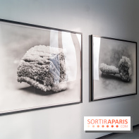 Exposition Avant l'orage à la Bourse de Commerce - Pinault Collection - urgence climatique