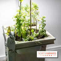 Exposition Avant l'orage à la Bourse de Commerce - Pinault Collection - urgence climatique