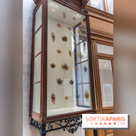 Exposition Avant l'orage à la Bourse de Commerce - Pinault Collection - urgence climatique