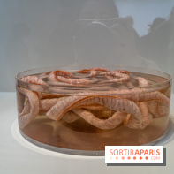 Exposition Avant l'orage à la Bourse de Commerce - Pinault Collection - urgence climatique