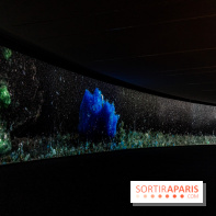 Exposition Avant l'orage à la Bourse de Commerce - Pinault Collection - urgence climatique