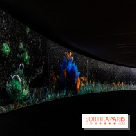 Exposition Avant l'orage à la Bourse de Commerce - Pinault Collection - urgence climatique