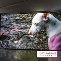 Exposition Avant l'orage à la Bourse de Commerce - Pinault Collection - urgence climatique