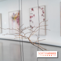 Exposition Avant l'orage à la Bourse de Commerce - Pinault Collection - urgence climatique