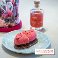 Bleu Coupole devient Rose Coupole pour la période Saint-Valentin -  A7C2487