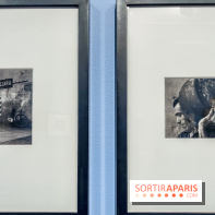 Exposition Paul Strand ou l'équilibre des forces, un voyage en photos à la Fondation HCB