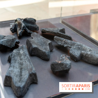 Exposition Notre-Dame de Paris - des bâtisseurs aux restaurateurs - Cité de l'Architecture -  A7C2743