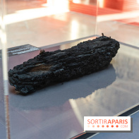 Exposition Notre-Dame de Paris - des bâtisseurs aux restaurateurs - Cité de l'Architecture