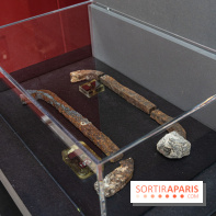 Exposition Notre-Dame de Paris - des bâtisseurs aux restaurateurs - Cité de l'Architecture -  A7C2780