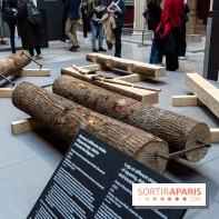 Exposition Notre-Dame de Paris - des bâtisseurs aux restaurateurs - Cité de l'Architecture -  A7C2857