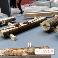 Exposition Notre-Dame de Paris - des bâtisseurs aux restaurateurs - Cité de l'Architecture -  A7C2858