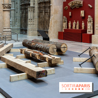 Exposition Notre-Dame de Paris - des bâtisseurs aux restaurateurs - Cité de l'Architecture -  A7C2877