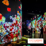 Chagall, Paris-New York, l'exposition immersive inédite de l'Atelier des Lumières - photos - IMG20230216095342