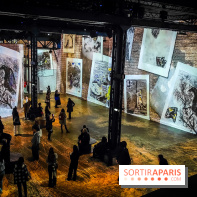 Chagall, Paris-New York, l'exposition immersive inédite de l'Atelier des Lumières - photos - IMG20230216094530