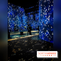 Chagall, Paris-New York, l'exposition immersive inédite de l'Atelier des Lumières - photos