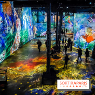 Chagall, Paris-New York, l'exposition immersive inédite de l'Atelier des Lumières - photos - IMG20230216094556