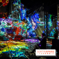 Chagall, Paris-New York, l'exposition immersive inédite de l'Atelier des Lumières - photos - IMG20230216093802