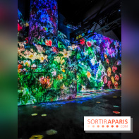 Chagall, Paris-New York, l'exposition immersive inédite de l'Atelier des Lumières - photos - IMG20230216095356