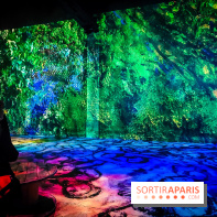 Chagall, Paris-New York, l'exposition immersive inédite de l'Atelier des Lumières - photos - IMG20230216100930