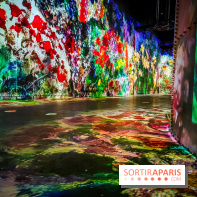 Chagall, Paris-New York, l'exposition immersive inédite de l'Atelier des Lumières - photos - IMG20230216095429