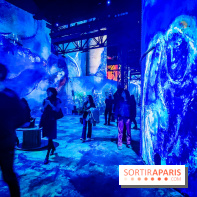 Chagall, Paris-New York, l'exposition immersive inédite de l'Atelier des Lumières - photos - IMG20230216100825