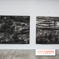 Exposition Ma Pensée Sérielle Miriam Cahn Palais de Tokyo