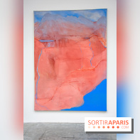 Exposition Ma Pensée Sérielle Miriam Cahn Palais de Tokyo - DSC 5485