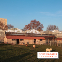 Fermes de Gally - Saint Denis - D552C605 417B 4032 A534 023325AFA580