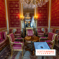 Château de Fontainebleau - Napoléon III et Eugénie -  A7C4115