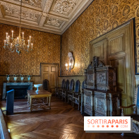 Château de Fontainebleau - Napoléon III et Eugénie -  A7C3919