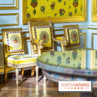 Château de Fontainebleau - Napoléon III et Eugénie -  A7C3815