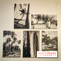 Matisse au musée de l'Orangerie : une exposition focus sur les années 1930 du peintre - nos photos - IMG20230301160729