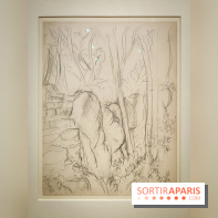 Matisse au musée de l'Orangerie : une exposition focus sur les années 1930 du peintre - nos photos - IMG20230301155735