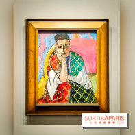 Matisse au musée de l'Orangerie : une exposition focus sur les années 1930 du peintre - nos photos - IMG20230301155247