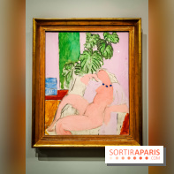 Matisse au musée de l'Orangerie : une exposition focus sur les années 1930 du peintre - nos photos - IMG20230301160350