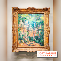 Musée de l'Orangerie - Cézanne