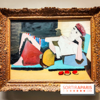 Musée de l'Orangerie - Picasso