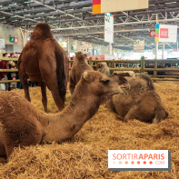 Salon de l'agriculture 2023