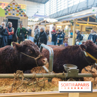 Salon de l'agriculture 2023